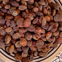 زردالو خشک شده در افتاب