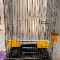 قفس پرنده