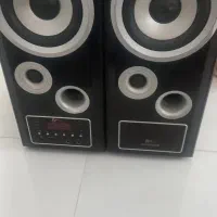 ۲ عدد باند خانگی