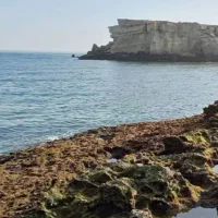 فروش ملک و زمین در طبل و سلخ