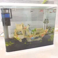 اکواریوم شیشه خم