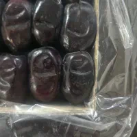 خرمای دوردیف|عمده‌فروشی|بم, |دیوار