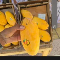 انبه|خوردنی و آشامیدنی|زاهدان, |دیوار