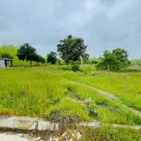 زمین سند شش دانگ‌ با مجوز ساخت|فروش زمین و ملک کلنگی|امامزاده عبدالله, |دیوار