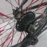 دوچرخه ۲۴ ویوا|دوچرخه، اسکیت، اسکوتر|گلستان (تهران), |دیوار