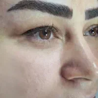 مدل برای میکروبلدینگ