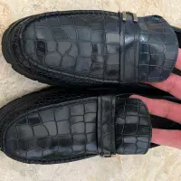 ماسیمادویتی کالج مدل پوست ماری