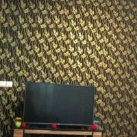 خانم نظافتچی منزل