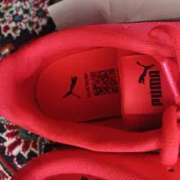 کفش سالنی|کیف، کفش، کمربند|قم, نیروگاه|دیوار