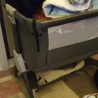 تخت کنار مادر برند babe