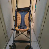 کالسکه پیر گاردین فرانسه