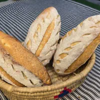 شاطر حرفه ای  به روز وفرداریاوردست در نان فانتزی