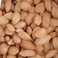 بادام درختی