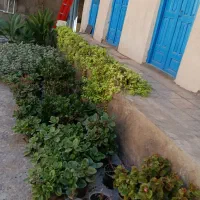 کاه گل خونه باغ سنتی سفال گردانی|خدمات پیشه و مهارت|کردکوی, |دیوار