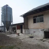 فروش مرغداری ۲۵هزار قطعه گیلان|فروش دفتر صنعتی، کشاورزی، تجاری|خمام, |دیوار