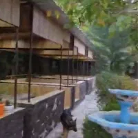 اجاره باغ رستوران با ۸ سال سابقه دوکوهک|اجارهٔ مغازه و غرفه|شیراز, شهرک قمشه|دیوار