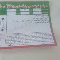 پرایدوانت مدل ۱۴۰۲|خودرو سواری و وانت|شاهدشهر, |دیوار