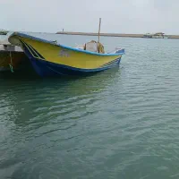 تشت 23 قالب ts  مخصوص 115 و85بدون چسپ درحد|قایق و سایر وسایل نقلیه|میناب, |دیوار