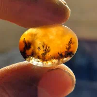 نگین  شجر  عقیق   انگشتر|جواهرات|شیراز, ریاستی|دیوار