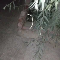 خونه ای ویلای دوطبقه اجاره ای