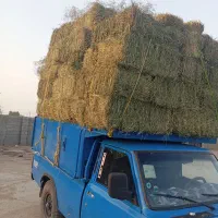 یونجه پرس شده درجه یک