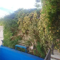 استخدام پرستارانی روزی