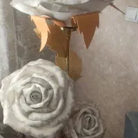 آباژور کنار سالنی