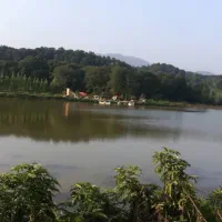 زمین فروشی سوخته کوه داخل طرح با کاربری گردشگری