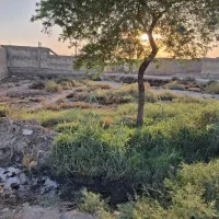 فروش زمین ۵۸۰ متری در دغاغله|فروش زمین و ملک کلنگی|اهواز, دغاغله|دیوار