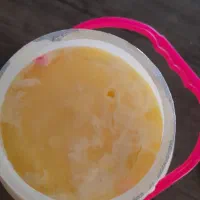 روغن  حیوانی