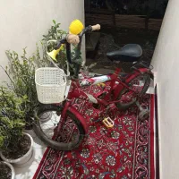 دوچرخه|دوچرخه، اسکیت، اسکوتر|رشت, آتشگاه|دیوار