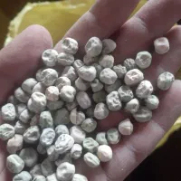 بذرنخودفرنگی