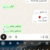 طراحی نیم چهره روی قاب موبایل(تخفیف به مدت محدود)|تابلو، نقاشی، عکس|بم, |دیوار