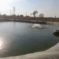 گلخانه نت هاوس|فروش دفتر صنعتی، کشاورزی، تجاری|قزوین, |دیوار