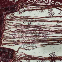 فرش طرح پرده ب دیوار بزنی