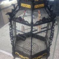 قفس پرنده طوطی