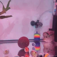 فلاور KML|ماهی|اندیشه, اندیشه فاز ۴|دیوار