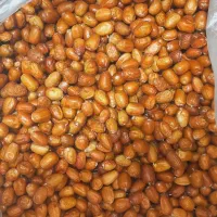 سنجد|خوردنی و آشامیدنی|یزد, |دیوار