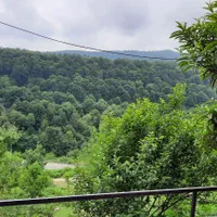 ویلا جنگلی/شبانه/روزانه/وییو کامل جنگل|اجارهٔ کوتاهمدت ویلا و باغ|چالوس, |دیوار