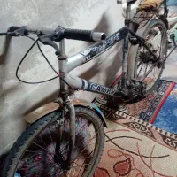 دوچرخه 24
