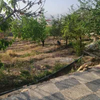 ۲۵۰۰متر زمین کنتور دار سند دار زیر قیمت