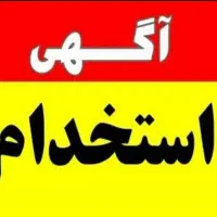 منشی،نیروی دفتری،برنامه نویس
