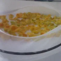 توری خشک کن میوه و سبزیجات