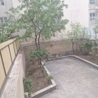 ۵ عدد کنده درخت  گردو رایگان