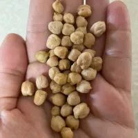نخود به شرط پخت