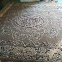 قالی3*4|فرش|مشهد, کوی دروی|دیوار