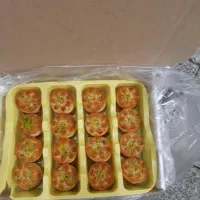 کارگاه خرمایی پزی