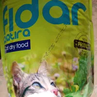 غذای گربه فیدار