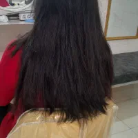 نیازمندهمکارباسابقه