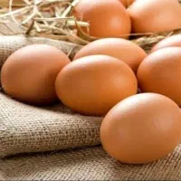 تخم مرغ محلی ،درمان ریزش مو و کم خونی